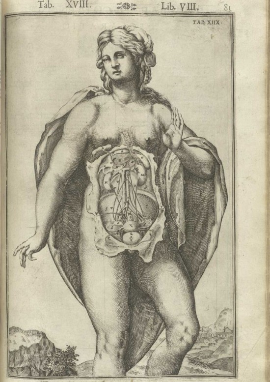 Anatomický obraz ženy v díle Andrea Vesalia z roku 1543